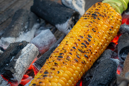 roasted grilled corn on the cob