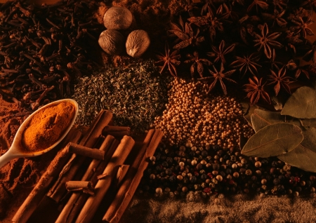 Spices including spoons, anise, Anissterne, mustard seeds, pepper, peppercorns, bay leaves, cinnamon sticks, herbs, paprika, saffron, turmeric and clovesの写真素材