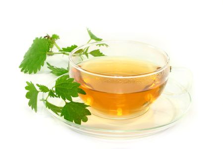 a cup of nettle tea with fresh nettles on a white backgroundの写真素材