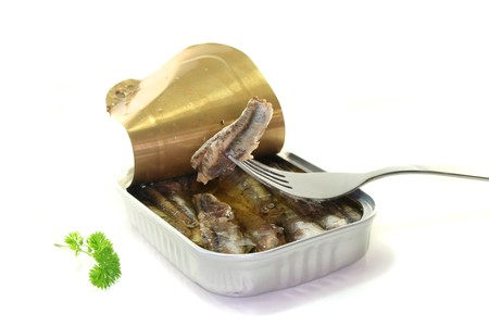 canned anchovies with parsley before a white backgroundの写真素材