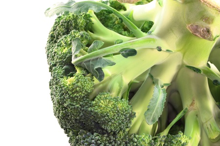 green head of broccoli before a white backgroundの写真素材