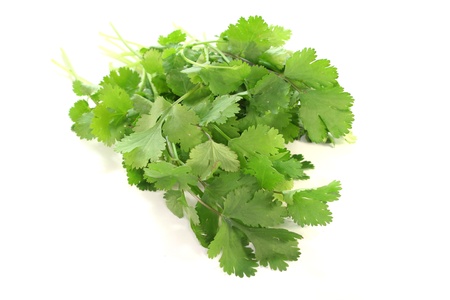 a bunch of fresh Coriander on a white backgroundの写真素材