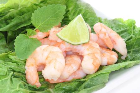 fresh shrimp with lime, lemon balm and lettuce on a plate before white backgroundの写真素材