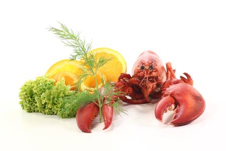 freshly cooked lobster with orange slices, lettuce and dillの写真素材