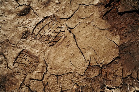 Footprint on the cracked earth backgroundの写真素材