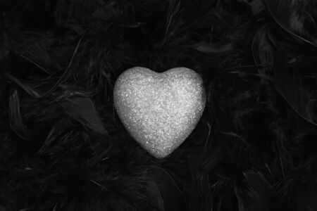 Silver heart over black feathers 
