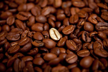 Fried coffee beans, selective focus on golden bean の写真素材