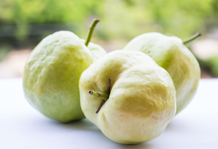 Fresh guava placed on a white backgroundの写真素材