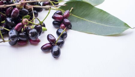 Jambolan plum on writhbackground.の写真素材