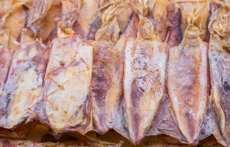 Dried Squid, traditional squids drying in the sun.の写真素材
