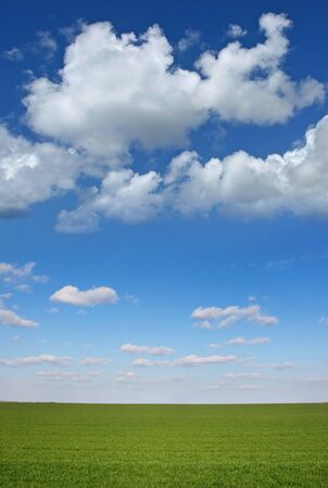 View of plain field of green wheat with blue sky and white cloudsの写真素材
