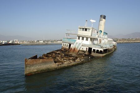 A group of sea lions are resting on an old abandoned ship in the bay of Ensenada in Mexico の写真素材