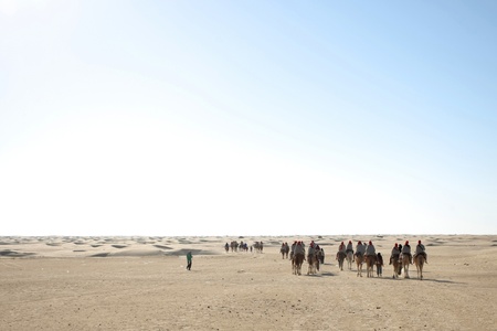 Beduins leading tourists on camels at the Sahara desert in Douz, Kebili, Tunisiaの写真素材