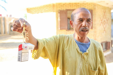 TOZEUR, TUNISIA - SEPTEMBER 16   A man holding a scorpion with a Marlboro cigarette box on September 16th, 2012 in Zoo in Tozeur, Tunisia のeditorial素材