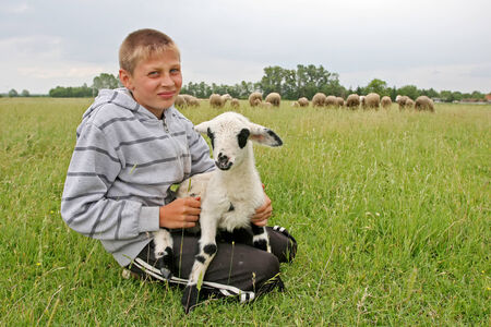 DJURDJENOVAC, CROATIA - JULY 25 : A young shepherd holding a baby goat on a meadow with a flock of sheep in the background on July 25th, 2010 in Djurdjenovac, Croatia.のeditorial素材