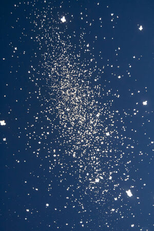 A large swarm of mosquitoes in the sky.の写真素材