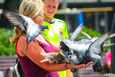 BARCELONA, SPAIN - JUNE 19 : A pigeons standing on the arm of a woman that is feeding them on a town square on June 19th, 2006 in Barcelona, Spain.Feeding pigeons is a tourist attraction in Barcelona.のeditorial素材