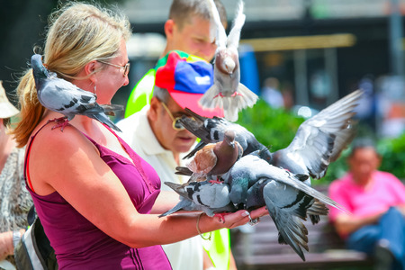 BARCELONA, SPAIN - JUNE 19 : A group of a pigeons standing on the arm of a woman that is feeding them on a town square on June 19th, 2006 in Barcelona, Spain.Feeding pigeons is a tourist attraction in Barcelona.のeditorial素材