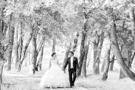 The bride and groom holding hands, looking at each other and walking down a pathway in the forestの写真素材