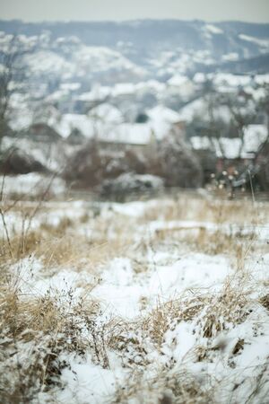 Dry grass covered with snow with village in the background.の写真素材