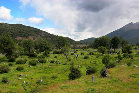 Hill and meadow in Ushuaiaの写真素材