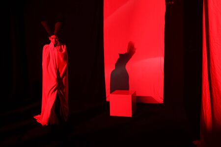 ZAGREB,CROATIA-MARCH 30,2017:Fashion Performance Second Skin, author Coded Edga and Martine Miholic, with cast giant Senka Bulic in the lead role on the Bipa Fashion.hr fashion show in Zagreb,Croatia.のeditorial素材