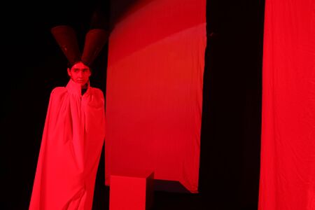 ZAGREB,CROATIA-MARCH 30,2017:Fashion Performance Second Skin, author Coded Edga and Martine Miholic, with cast giant Senka Bulic in the lead role on the Bipa Fashion.hr fashion show in Zagreb,Croatia.のeditorial素材