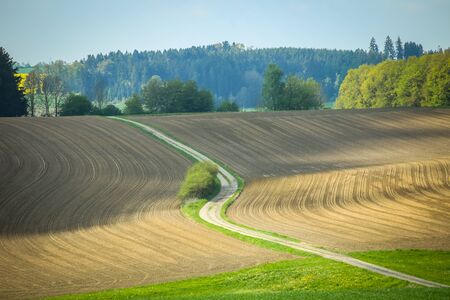 A pathway through the cultivated fields of Bavaria, Germany.
