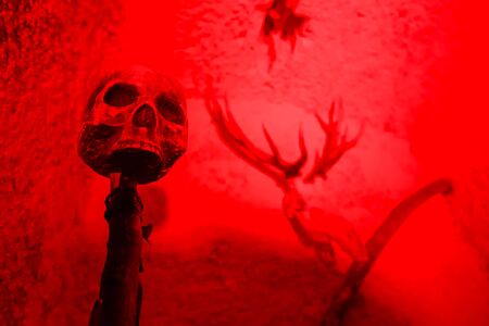LUKAVEC, CROATIA - MAY 27, 2017 : Human head skeleton as decoration on the Perunfest, festival of forgotten tales and folk tales held at Lukavec Castle in Lukavac, Croatia.のeditorial素材