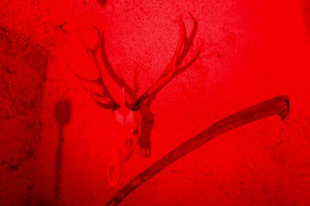 LUKAVEC, CROATIA - MAY 27, 2017 : Animal head skeleton as decoration on the Perunfest, festival of forgotten tales and folk tales held at Lukavec Castle in Lukavac, Croatia.のeditorial素材