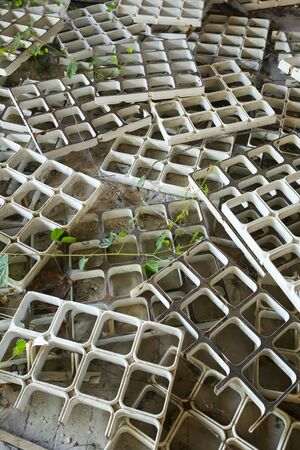 A view of plastic decoration for ceiling scattered on the floor.
