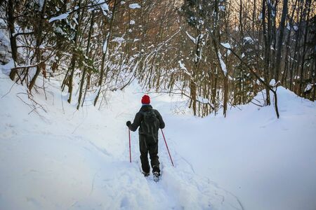 Hiker walking in the forest on the hill covered with fresh deep snow at sunset.の写真素材