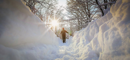 Low angle view of hiker walking on the path with fresh deep snow in the forest on the hill at sunset.の写真素材