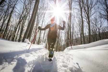 Hiker walking in the forest on the hill covered with fresh deep snow.の写真素材