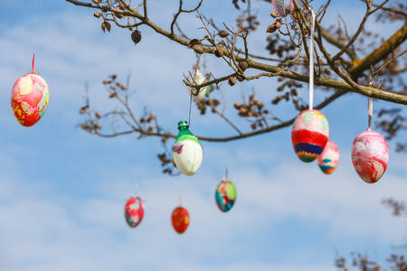 Decorated Easter eggs hanging on the tree branches.の写真素材