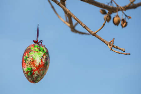 Decorated Easter eggs hanging on the tree branches.