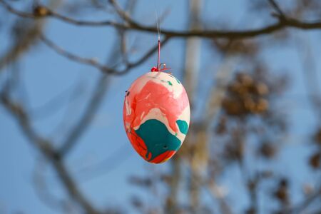 Decorated Easter eggs hanging on the tree branches.の写真素材