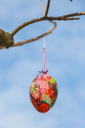 Decorated Easter eggs hanging on the tree branches.の写真素材