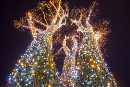 A low angle view of a decorated illuminating tree at night.