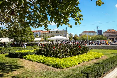 Zagreb, Croatia - September 20, 2019 : Decorative flowers in a park on King Tomislav Square in downtown Zagreb, Croatia.のeditorial素材