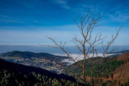 Peoples have a hiking, trekking, in a Black Forest, Germany, trough waterfall and treesの写真素材