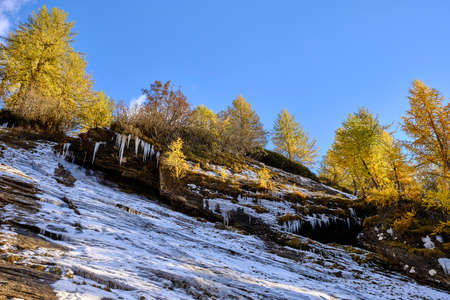 Solo Backpacker Trekking on the mountain in autumn trought foliage, lake, yellow, and orange colors