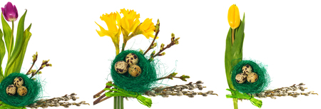 Easter eggs in bird nest with green flowers, tulips, catkins on a white background.の写真素材