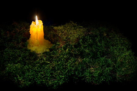 A lit candle on the forest dark moss. Part of Helloween decoration on black background.の写真素材