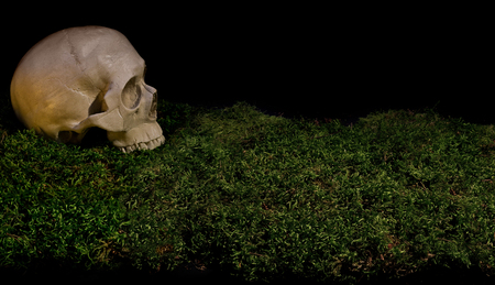 Halloween scary human skull on green dark forest moss. White skeleton head emerging from the dark. Head Human bones on a black background.の写真素材