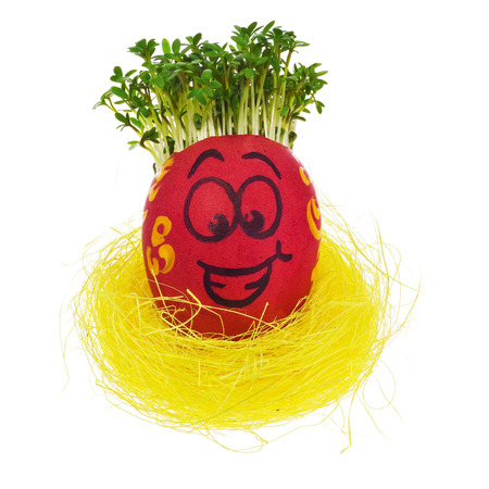 Easter egg painted in a funny smiley face and colorful patterns in a yellow bird's nest with cress like hair. The watercress stylized for the hairstyle of the character. Egg in multicolored patterns and decors  on a white background with a slight reflection.の写真素材
