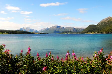 a quiet place in the nature in a european northern countryの写真素材