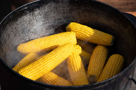 Corn on the cob. Sweet corn cooked in boiling water in a saucepan for street food festival.の写真素材