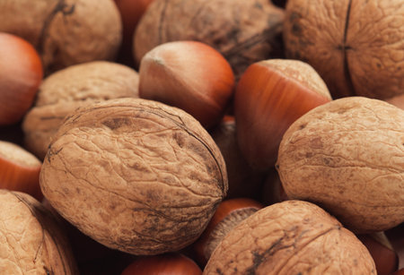 Group of hazelnuts and walnuts as a background, close upの写真素材