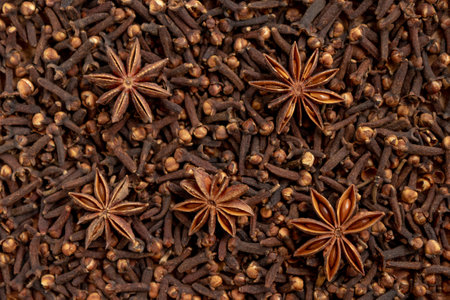 Heap of dried cloves and anise star, close up view. Christmas spices.の写真素材